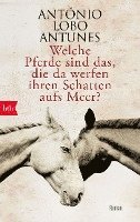 bokomslag Welche Pferde sind das, die da werfen ihren Schatten aufs Meer?