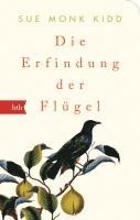 bokomslag Die Erfindung der Flügel