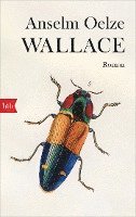 bokomslag Wallace