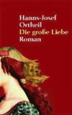 bokomslag Die grosse Liebe