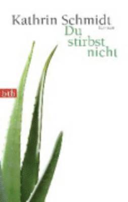 Kathrin Schmidt - Du stirbst nicht, Häftad
