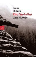 bokomslag Die Steinflut
