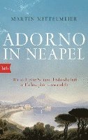 bokomslag Adorno in Neapel