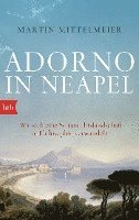 Adorno in Neapel