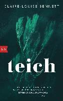 Claire-Louise Bennett - Teich, Häftad