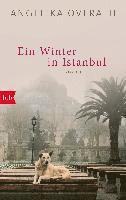 bokomslag Ein Winter in Istanbul