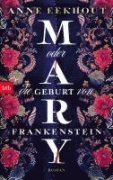 bokomslag Mary oder die Geburt von Frankenstein