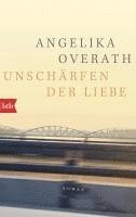bokomslag Unschärfen der Liebe