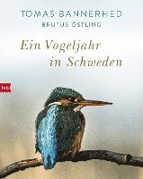 bokomslag Ein Vogeljahr in Schweden