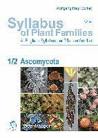 bokomslag Syllabus of Plant Families - A. Engler's Syllabus der Pflanzenfamilien Part 1/2: