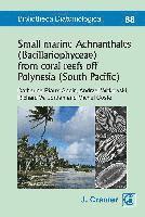 Small marine Achnanthales (Bacillariophyceae) from coral reefs off Polynesia (South Pacific) 1
