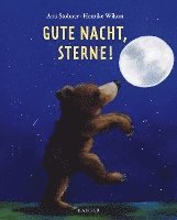 bokomslag Gute Nacht, Sterne!