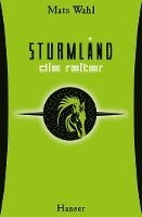 bokomslag Sturmland 01 - Die Reiter