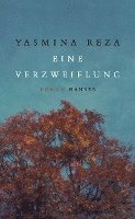 bokomslag Eine Verzweiflung