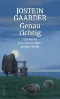 Jostein Gaarder - Genau richtig, Inbunden