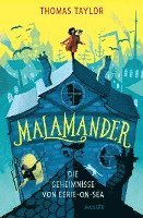 bokomslag Malamander - Die Geheimnisse von Eerie-on-Sea