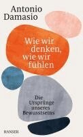 Antonio Damasio - Wie wir denken, wie wir fühlen, Inbunden