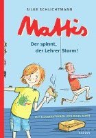 bokomslag Mattis - Der spinnt, der Lehrer Storm!