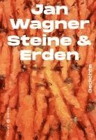 Jan Wagner - Steine & Erden, Inbunden