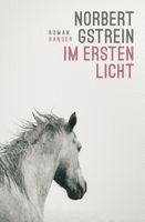 Norbert Gstrein - Im ersten Licht, Inbunden