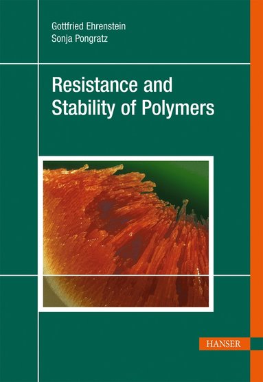 bokomslag Resistance and Stability of Polymers