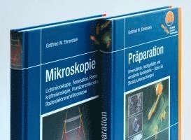 Präparation / Mikroskopie