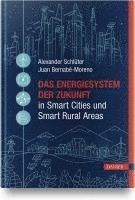 bokomslag Das Energiesystem der Zukunft in Smart Cities und Smart Rural Areas