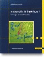 bokomslag Mathematik für Ingenieure 1