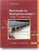 bokomslag Mathematik im Bauingenieurwesen 1