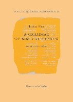 Joshua Blau - A Grammar of Biblical Hebrew, Häftad