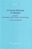 bokomslag A Concise Dictionary of Akkadian