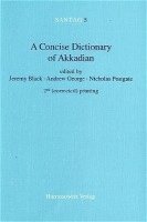 bokomslag A Concise Dictionary of Akkadian: Akkadian-English