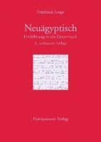 bokomslag Einfuhrung in Die Grammatik Des Neuagyptischen