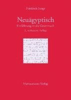 Friedrich Junge - Einfuhrung in Die Grammatik Des Neuagyptischen, Häftad. Tillgänglighet: Lägg i varukorg