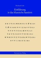 bokomslag Einführung in das klassische Sanskrit