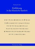 bokomslag Einfuhrung in Das Klassische Sanskrit: Lehrbuch Mit Ubungen