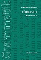 bokomslag Turkisch: Kurzgrammatik