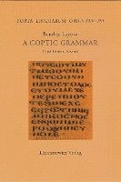 bokomslag A Coptic Grammar: With Chrestomathy and Glossary. Sahidic Dialect