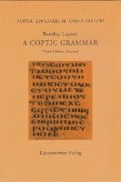 bokomslag A Coptic Grammar