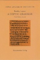 bokomslag A Coptic Grammar: With Chrestomathy and Glossary. Sahidic Dialect