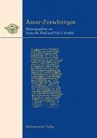 Nils P. Heessel, Stefan M. Maul - Assur Forschungen: Arbeiten Aus Der Forschungsstelle 'Edition Literarischer Keilschrifttexte Aus Assur' Der Heidelberger Akademie Der Wissenschaften, Häftad