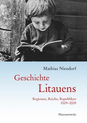 bokomslag Geschichte Litauens