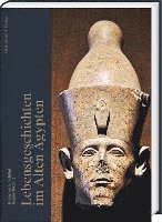 bokomslag Lebensgeschichten Im Alten Agypten