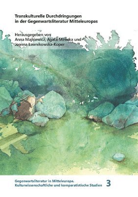 Joanna Lawnikowska-Koper, Anna Majkiewicz - Transkulturelle Durchdringungen in Der Gegenwartsliteratur Mitteleuropas, Inbunden