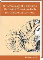 bokomslag The Archaeology of Urban Life in the Ancient Akrai/Acrae, Sicily