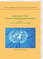 bokomslag International Law Between Translation and Pluralism: Examples from Germany, Palestine and Indonesia