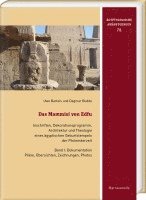 bokomslag Das Mammisi Von Edfu. Inschriften, Dekorationsprogramm, Architektur Und Theologie Eines Agyptischen Geburtstempels Der Ptolemaerzeit: Band I Dokumenta