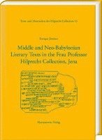 bokomslag Middle and Neo-Babylonian Literary Texts in the Frau Professor Hilprecht Collection, Jena