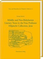 bokomslag Middle and Neo-Babylonian Literary Texts in the Frau Professor Hilprecht Collection, Jena