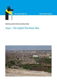 bokomslag Asyut - The Capital That Never Was